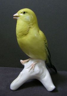 Vintage Karl Ens Porcelain Parrot Bird Figure Canary