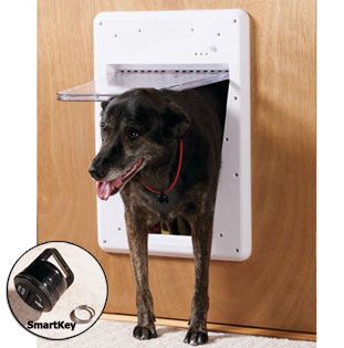 New Energy Efficient Large Automatic Dog Door w Key
