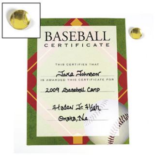 Baseball Award Certificate and Pin Sets 123311