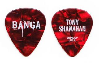 Patti Smith Tony Shanahan Red Pearl Guitar Pick 2012 Banga Tour