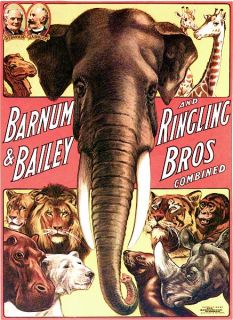 Barnum Bailey and Ringling Bros Combined Elephant   Circus Posters