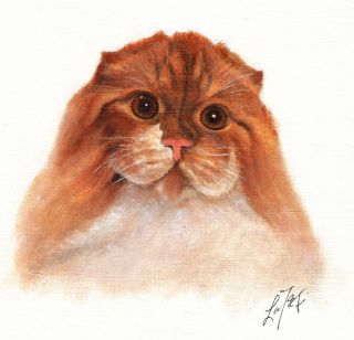 Original Oil CAT Portrait Painting SCOTTISH FOLD LONGHAIR Art on 