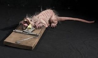 rat in trap animated prop halloween animatronic 4 ft watch