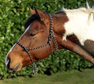 Rope Halter/Headcol​lar Pony Cob or Full   For Natural Horsemanship 