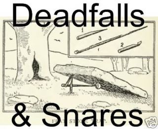 How to Trap   Make Snares, Deadfalls, Bear Traps, Survival, Prep 