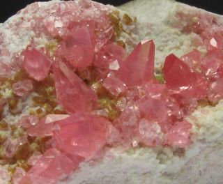 Gemmy Rhodochrosite Scalenohedron Crystal Uchucchacua Mine Peru