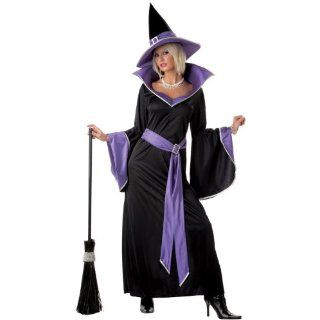 Elegant Sexy Incantasia Glamour Witch Adult Costume S