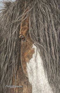Judy Larson® FEARLESS Giclee Canvas Horse #74/75