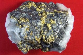 Very RARE Museum Grade 15 66 Ounce Gold in ARSENOPYRITE Nugget Nuggets 