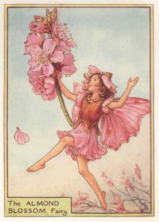 Flower Fairies Cowslip Vintage Print C M Barker C1930