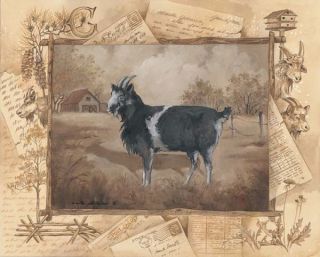 Goat Barnyard Animal Anita Phillips Framed Picture