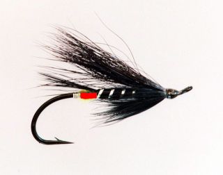 Atlantic Salmon Black Bear Br Butt and Red Butt  Hairwing  tied by Jed 