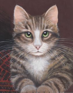 TABBY CAT GREEN EYES LIMITED EDITION SIGNED PRINT BY SUE BARRATT
