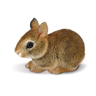 Eastern Cottontail Rabbit Baby 262129 2012 Free SHIP to USA w $25 