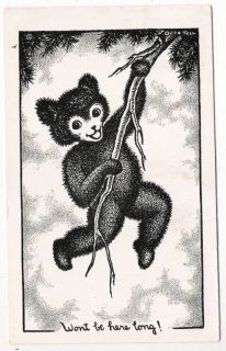   Postcard Teddy Bear Swinging from Tree Branch Clouds Sky 1954