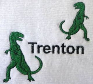 Dinosaur Towel T Rex Boys Bath Decor Personalized