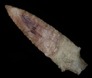 Ancient Chert LITTLE BEAR CREEK Point Arrowhead Indian Artifact Ky 