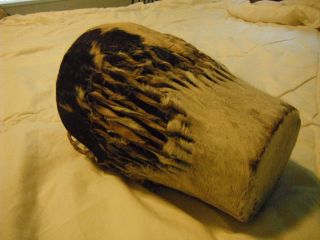 inch Native American drum: Hair hide and sinew, pristine 