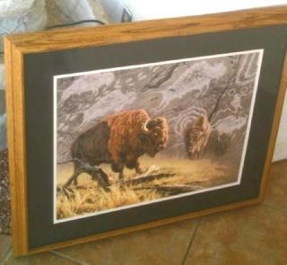 Greg Beecham Buffalo Print Bison Limited Edition 129 of 750 Framed 