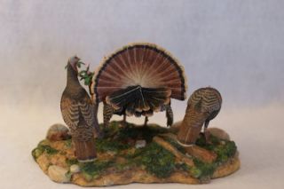 Danbury Mint Wily Jakes by Nick Bibby Turkey Figurine