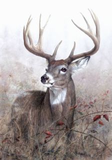 Big Buck Deer Wildlife Toland Decorative Garden Flag