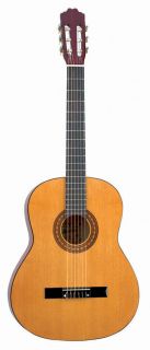 Montana CL80 Concert Size Nylon String Classical Guitar