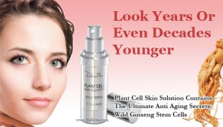 Plant Stem Cell Serum Latest Anti Ageing Skin Care Wrinkle Cream Age 