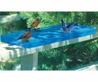 Splash Pool Bird Bath (Bird Baths and Waterers)