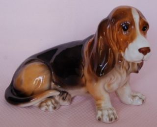 Adorable Large The Kennel Club by Sheffield Sir Bo Basset Hound 