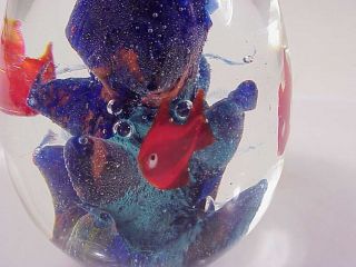 Goldfish Bubbly Blue Rock Oval Egg Paperweight