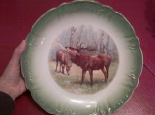 Blenheim China Plate Made in Germany w Moose Fabulous