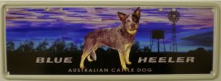Blue Heeler Australian Cattle Dog Display Number Plate
