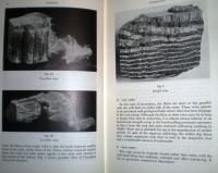 Asbestos Handbook from Rock to Fabric Mesothelioma