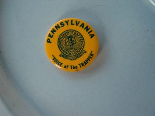 pennsylvania trappers ass voice of the trapper button mint shape