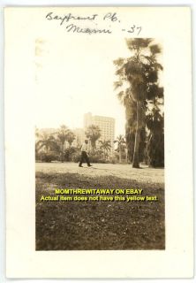 1937 Photo Florida FL Miami Man Walking Bayfront Park Buildings Palm 