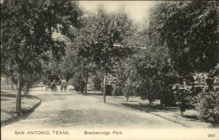 San Antonio TX Brackenridge Park c1910 Postcard