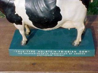 true type holstein friesian cow brattleboro vermont