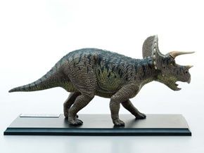 FEH Burritt Dinosaur Figure Skating Triceratops Anatomy