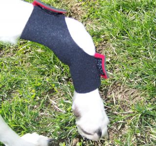 Neoprene Semi Pro Dog Stopper Pad Leg Protectors Flyball Canix Agility 