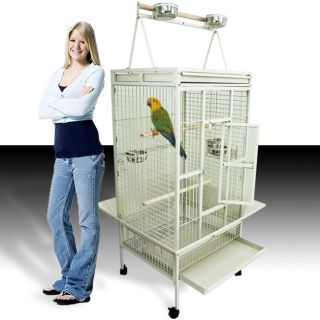   Bird Cockatiel Parakeet Finch Cage Playtop Gym Perch Stand