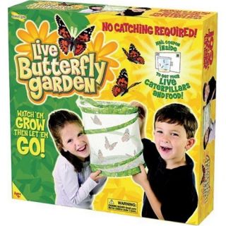   shipped from the us insect lore live butterfly garden brand new and