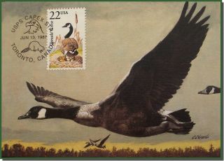 CC402 USA 1987 Wildlife Maximum Card Canada GOOSE Bird