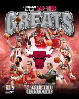 Chicago Bulls ALL TIME GREATS 9 Legends 6 Championships Premium Poster 