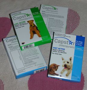 Capstar Dog Cat High Infestation Kill Fleas 6 Pill Pkg