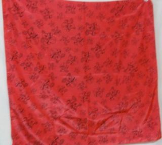 231s1 ~NOVELTY ~ Captain Crunch ~ Ladies Scarf 22 Square 
