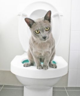 Litter Kwitter Cat Potty Training Toilet Box Quitter