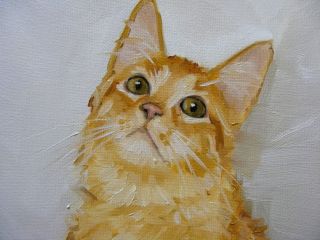 Original Oil painting   portrait of a ginger cat by j payne   turkish 