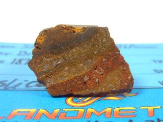 Meteorite SANTA CATHARINA [ATAX IRAN] historic meteorite from BRAZIL 1 