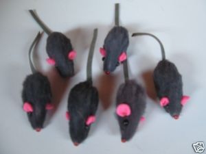   Rattle Furry Mice Free 1 Pack Rattle Ball with Catnip Brand New