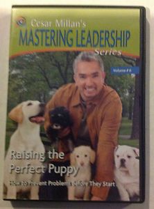 Cesar Millans Mastering Leadership Series Volume 6 RA